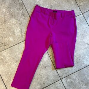Express Fuchsia Slim Fit Pants